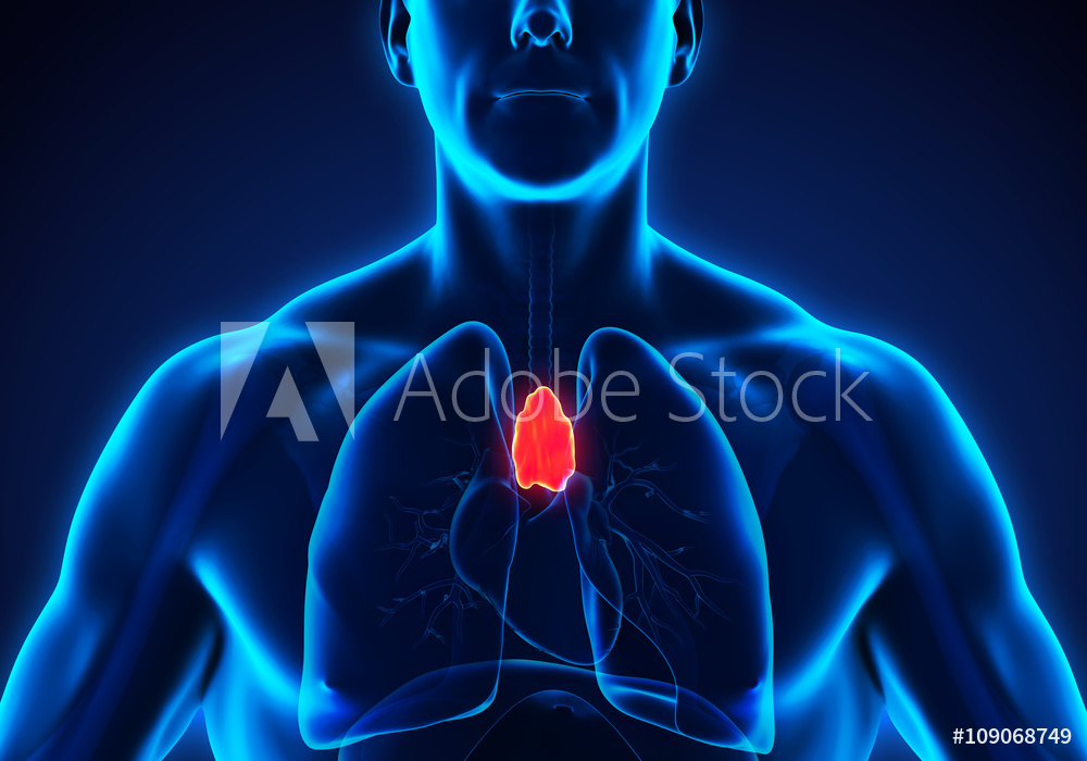 Why Hypothyroidism Can Increase Your Risk for Autoimmune Diseases