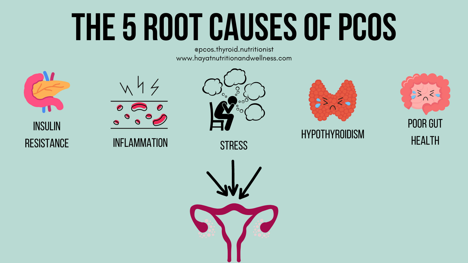 A rectangular block with a title "The 5 Root Causes of PCOS" 

Below the title, there are two blocks of texts, which read "@pcos.thyroid.nutritionist" and "www.hayatnutritionandwellness.com."

Below that are 5 images. Starting from the left, the first image is of a pancreas with the text "insulin resistance" below it.

The next image is a graphic showing the blood stream and 3 lightning drawings above that, to indicate inflammation. The text below this image says "inflammation."

The next image is a graphic of a person sitting in a chair with their hands to their head. 4 thought bubbles surround the person, indicating they are stressed. Below this image is the word "Stress."

The next image is a graphic of the thyroid gland with a sad face. The text below this image reads "hypothyroidism."

The last image all the way on the right is a graphic of the digestive system with a sad face. The text below this reads "poor gut health."

Below this row of images are 3 arrows pointing below.

Underneath the arrows is a graphic of the female anatomy, showing the ovaries.